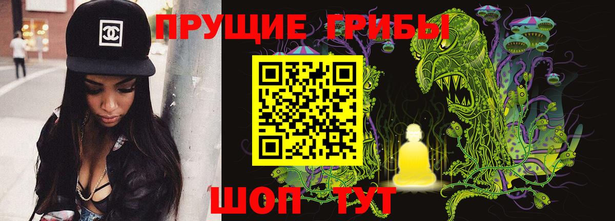 Псилоцибиновые грибы мицелий  Вход с VPN  Ленинск-Кузнецкий 