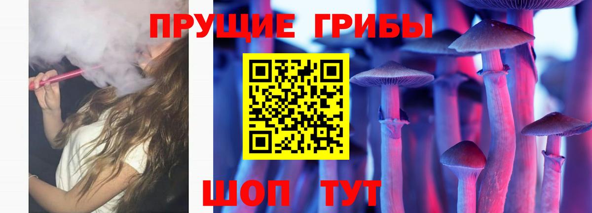 Псилоцибиновые грибы мухоморы Ленинск-Кузнецкий